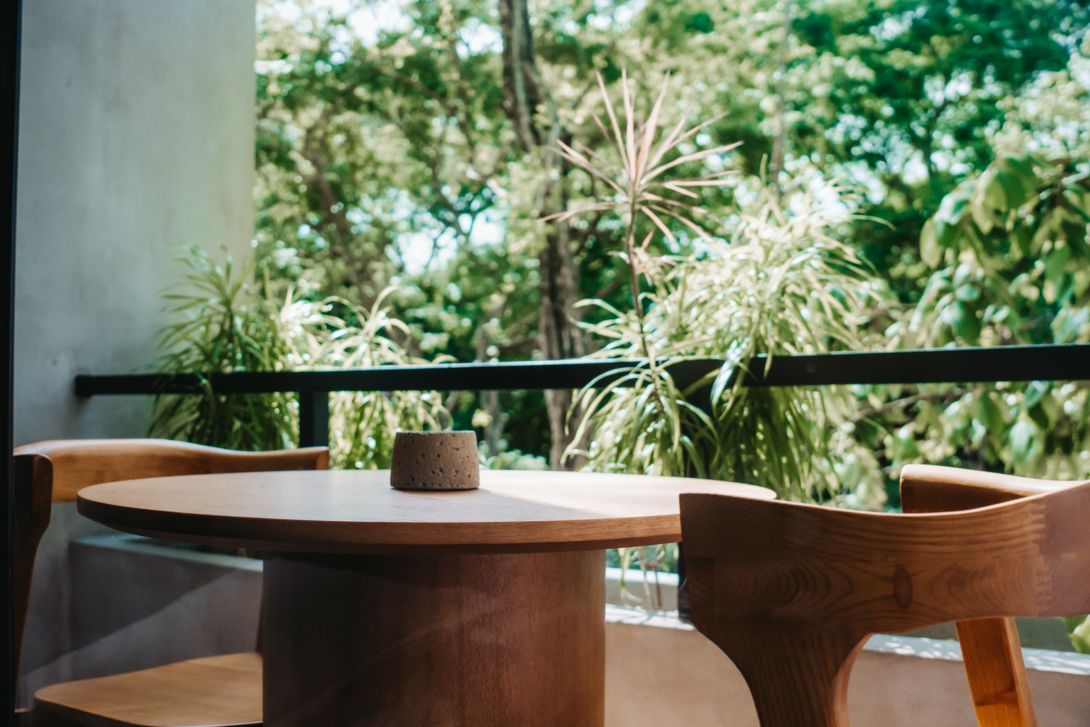 Canopy Suite 2